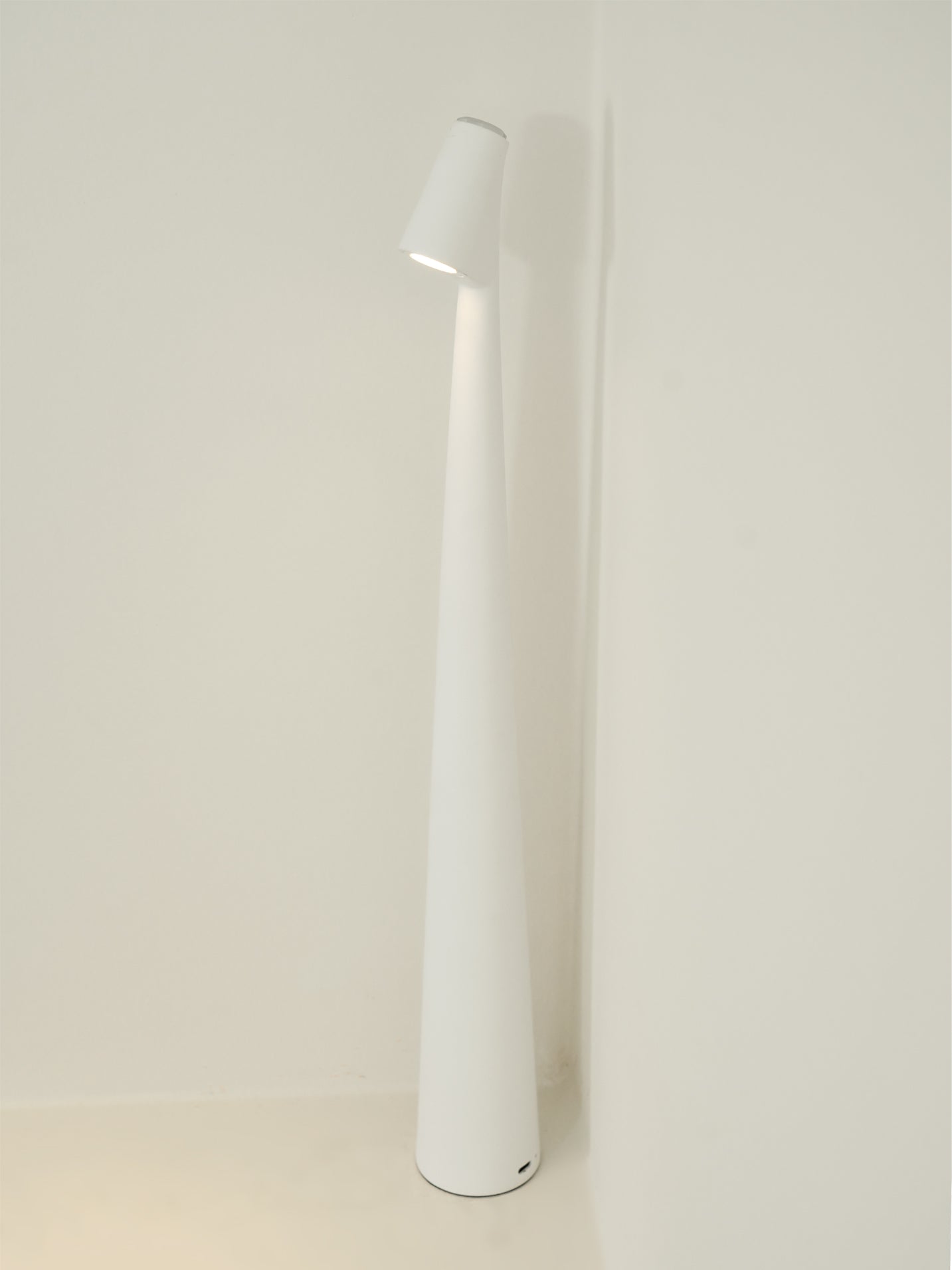 Africa Built-in Battery Table Lamp