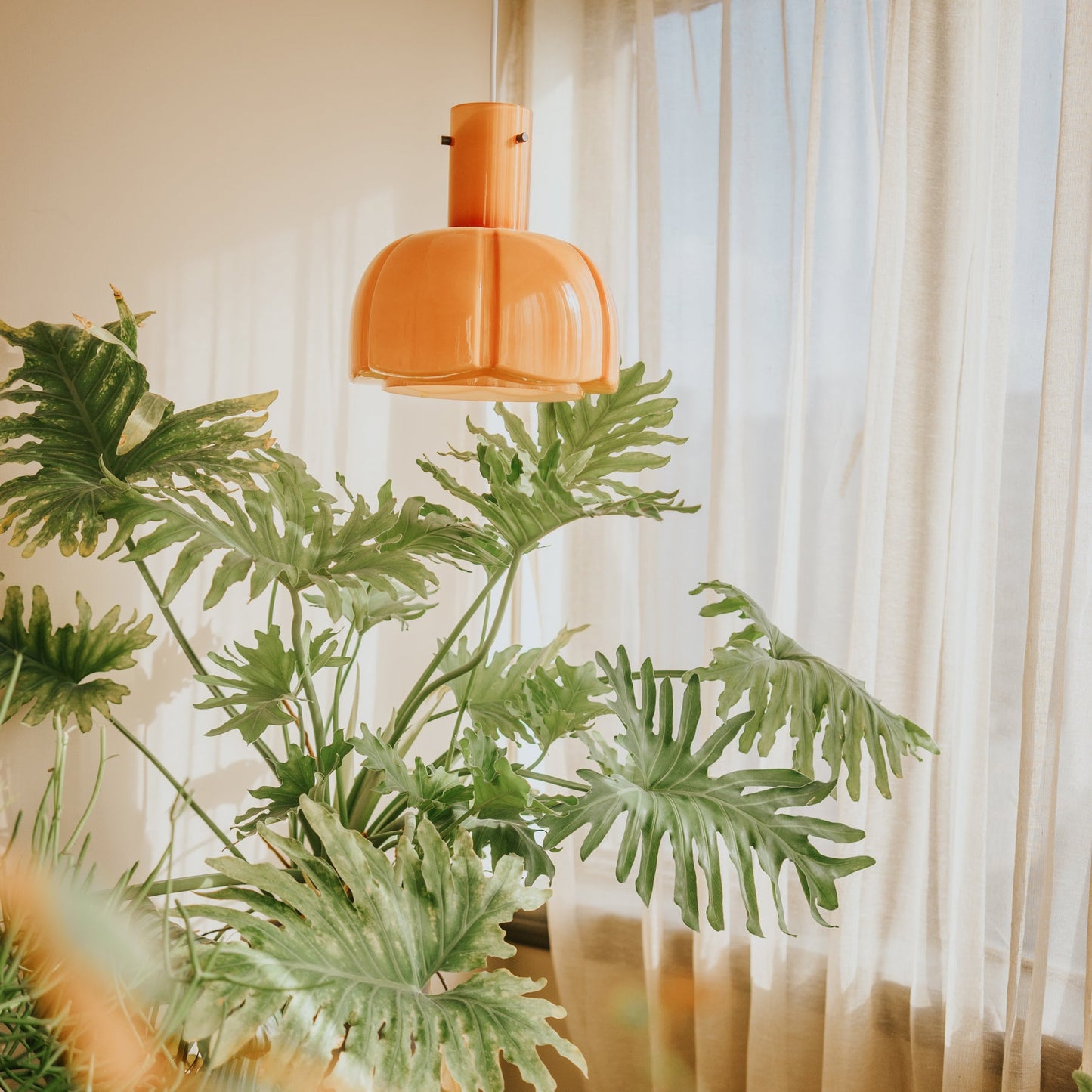 Paolina Pendant Light