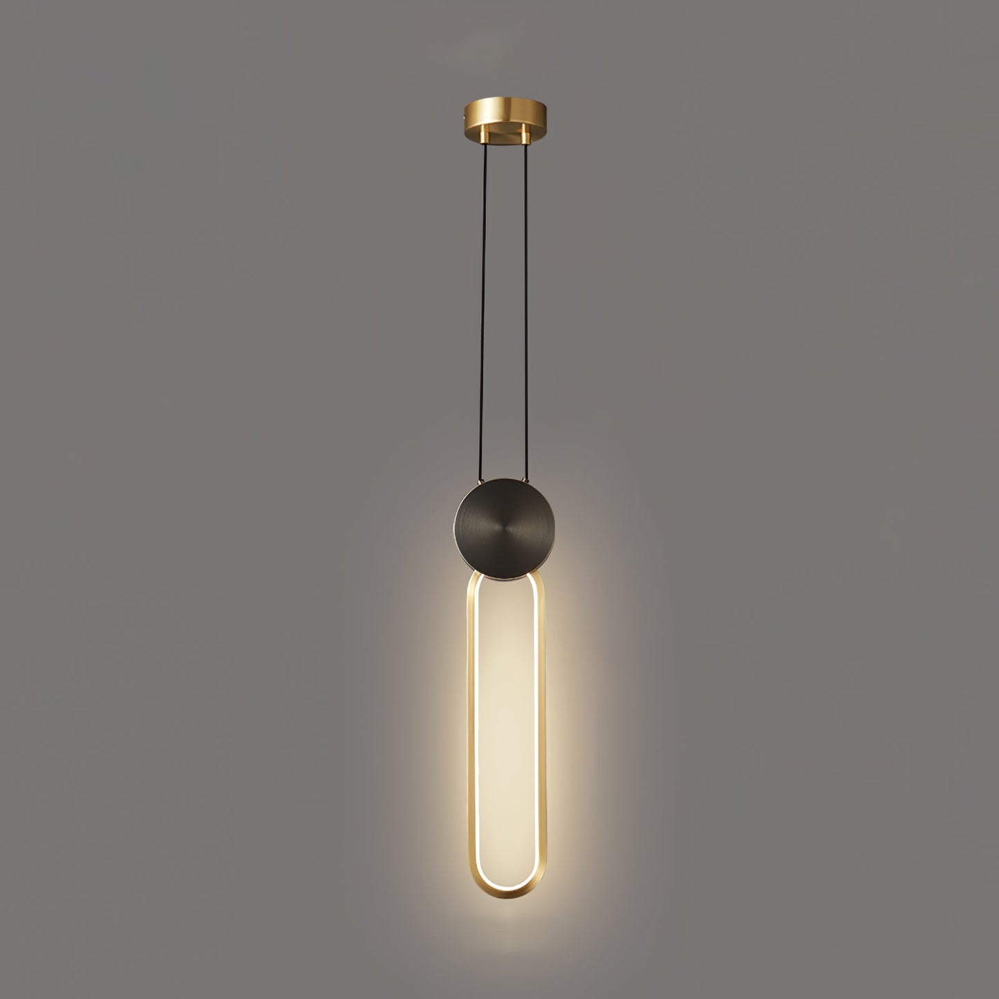 Ring Hanging Pendant Light