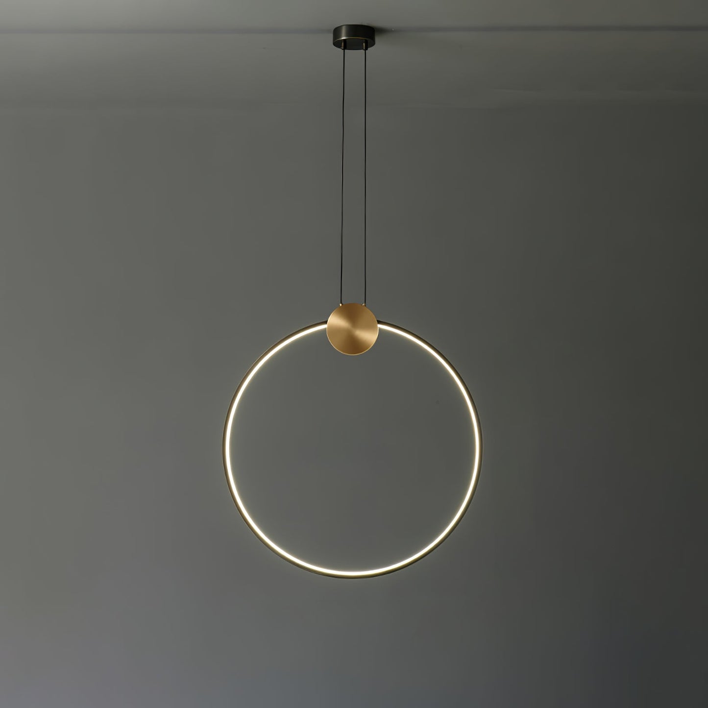 Ring Hanging Pendant Light