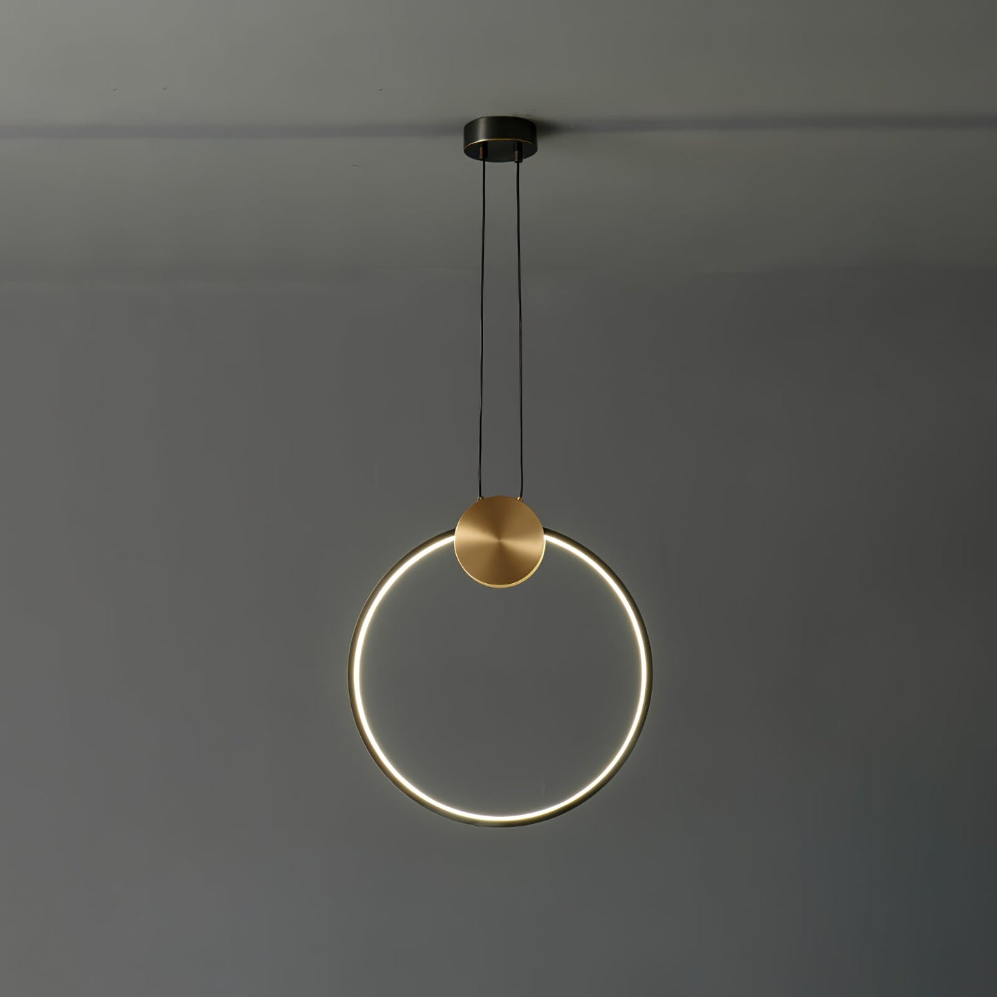 Ring Hanging Pendant Light