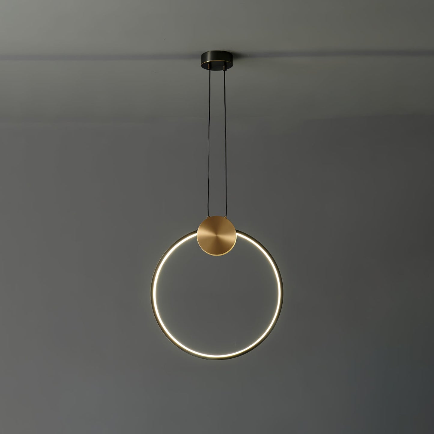Ring Hanging Pendant Light