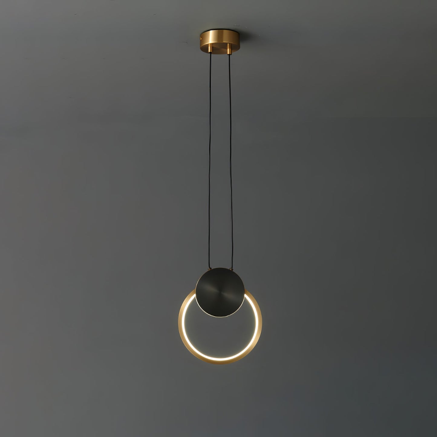 Ring Hanging Pendant Light