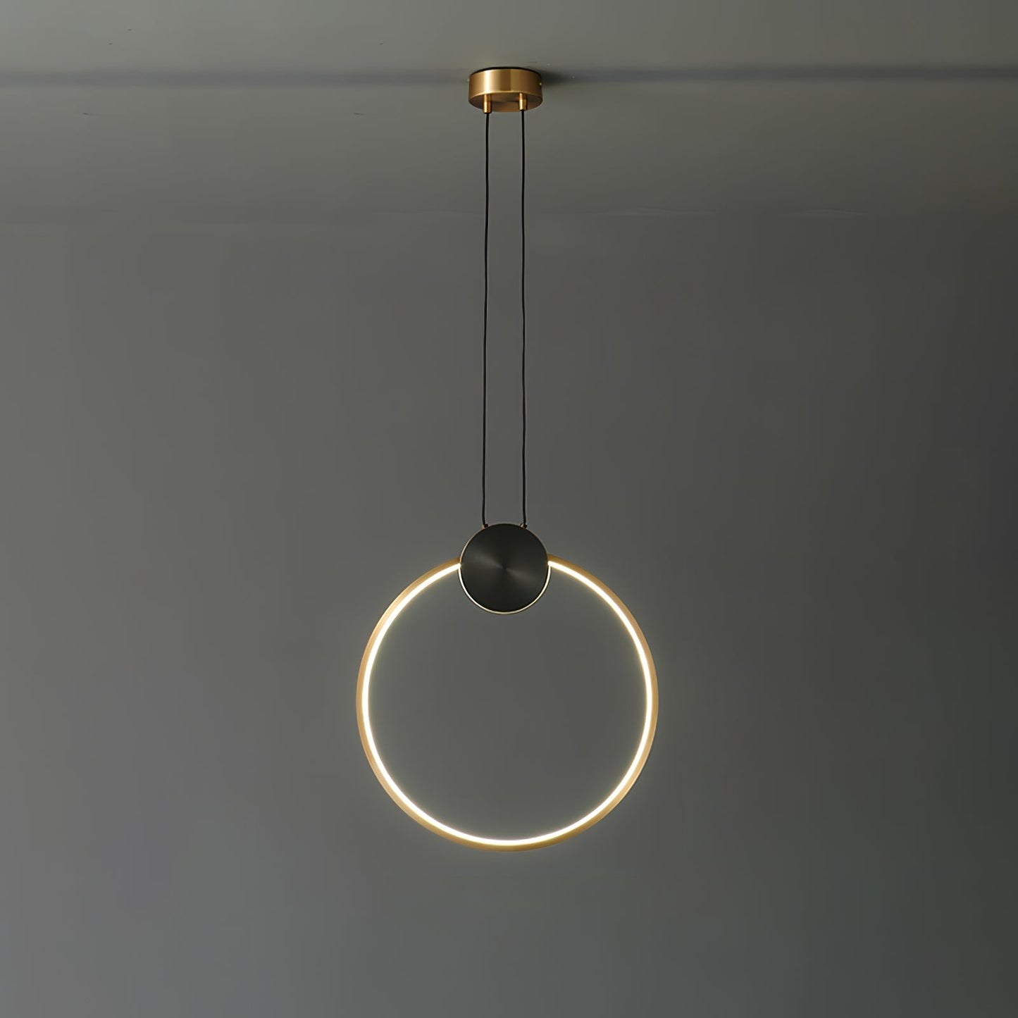 Ring Hanging Pendant Light