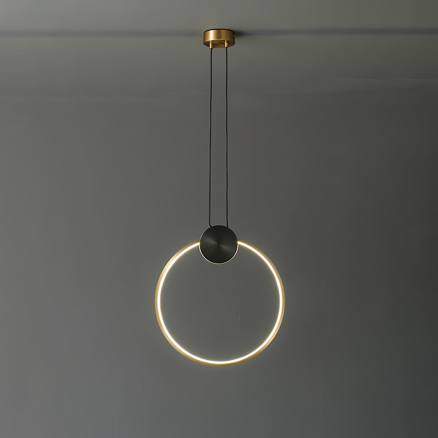 Ring Hanging Pendant Light