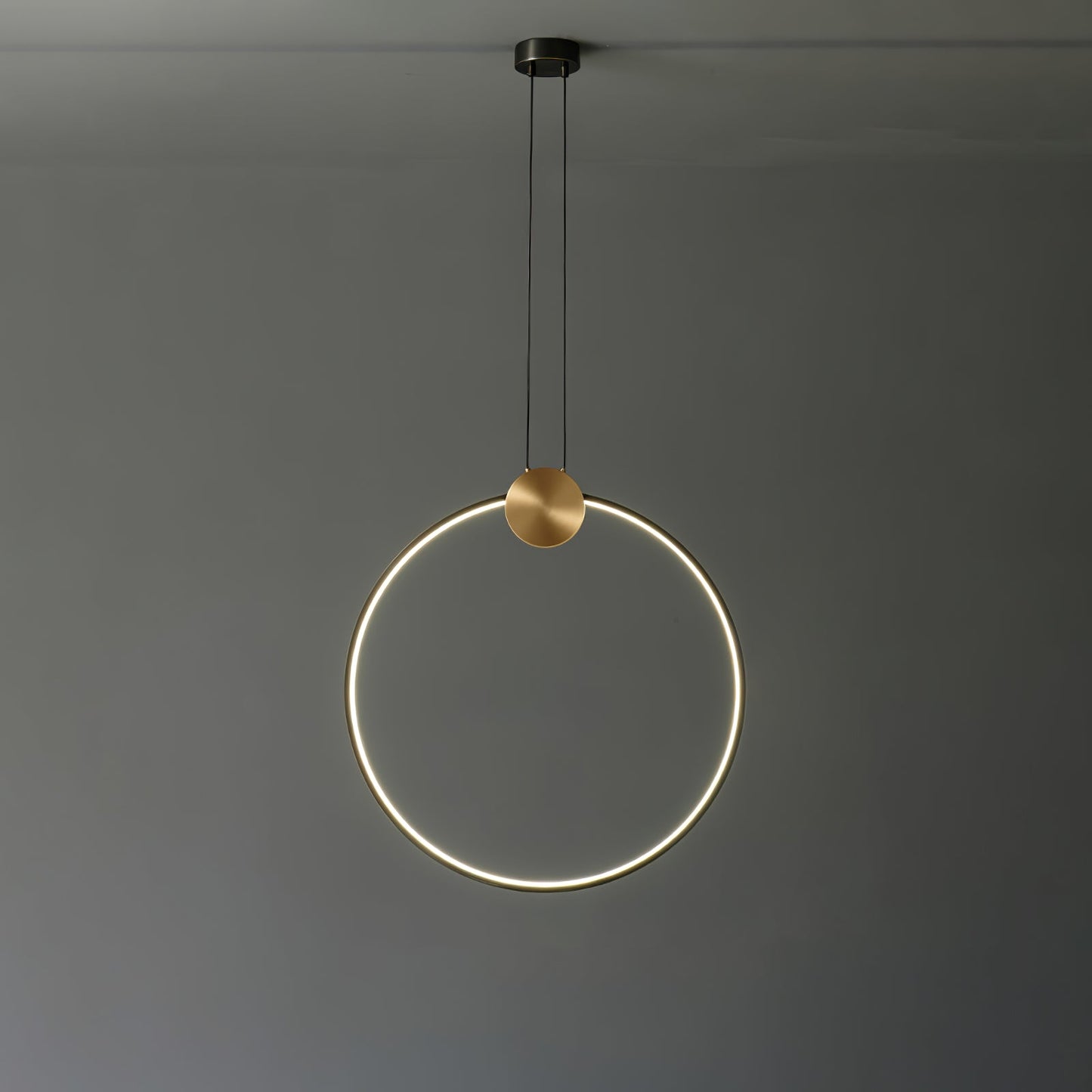 Ring Hanging Pendant Light