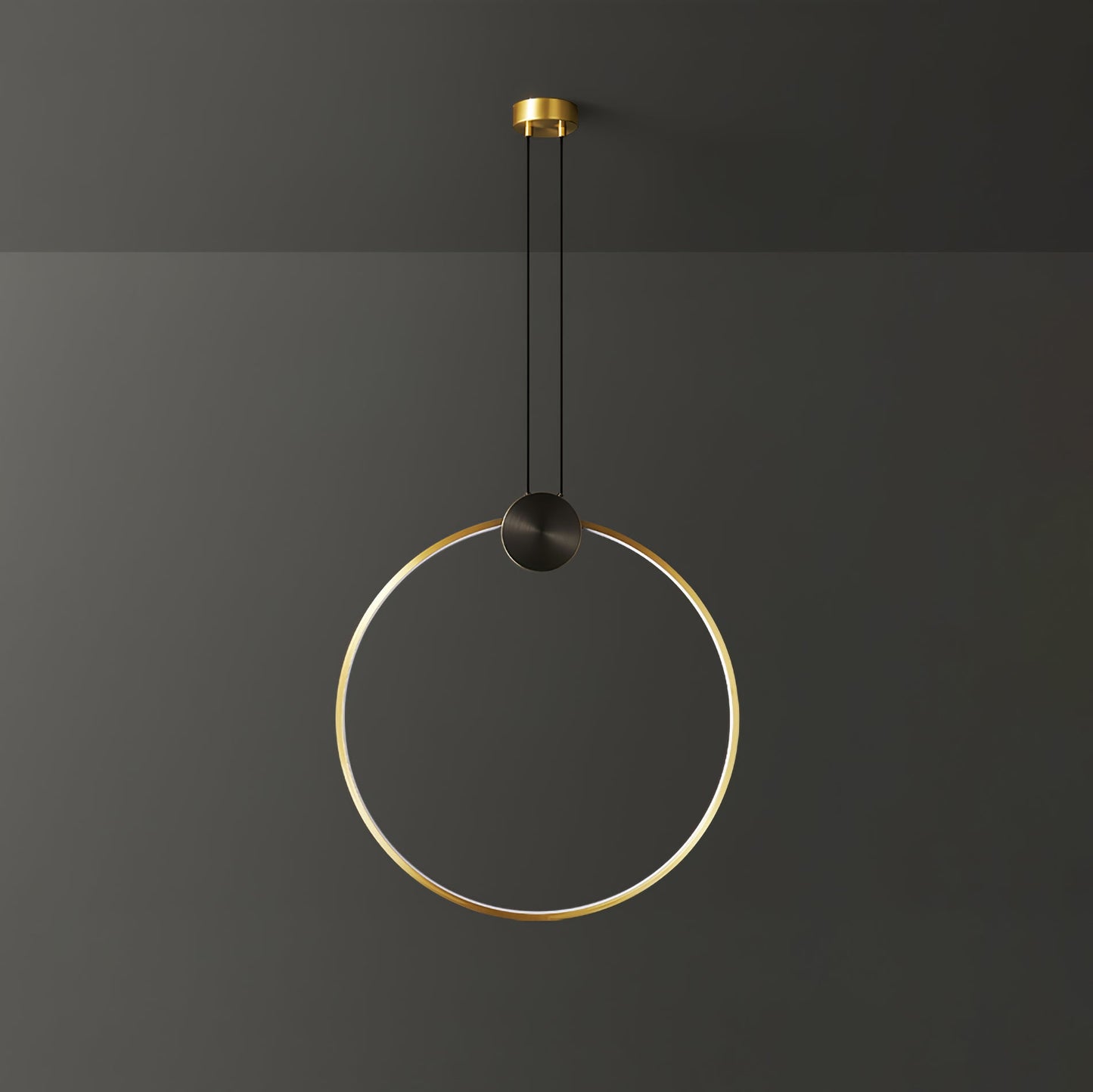Ring Hanging Pendant Light