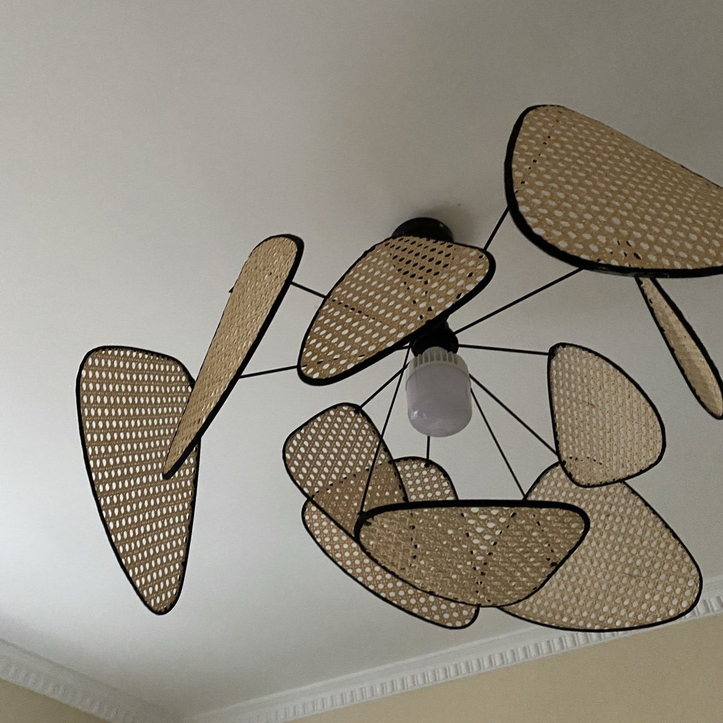Screen Cannage Pendant Light