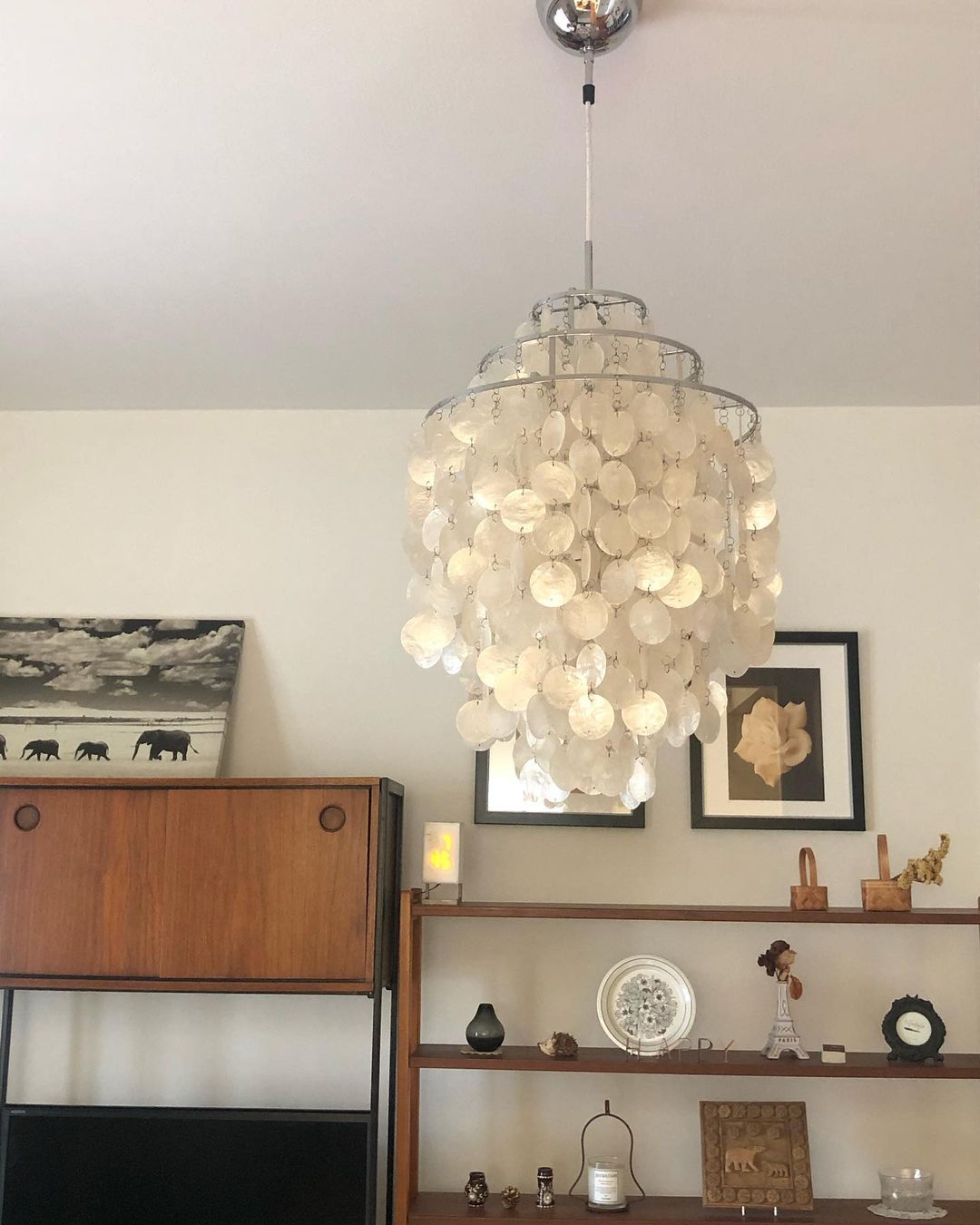 Seashells Pendant Light