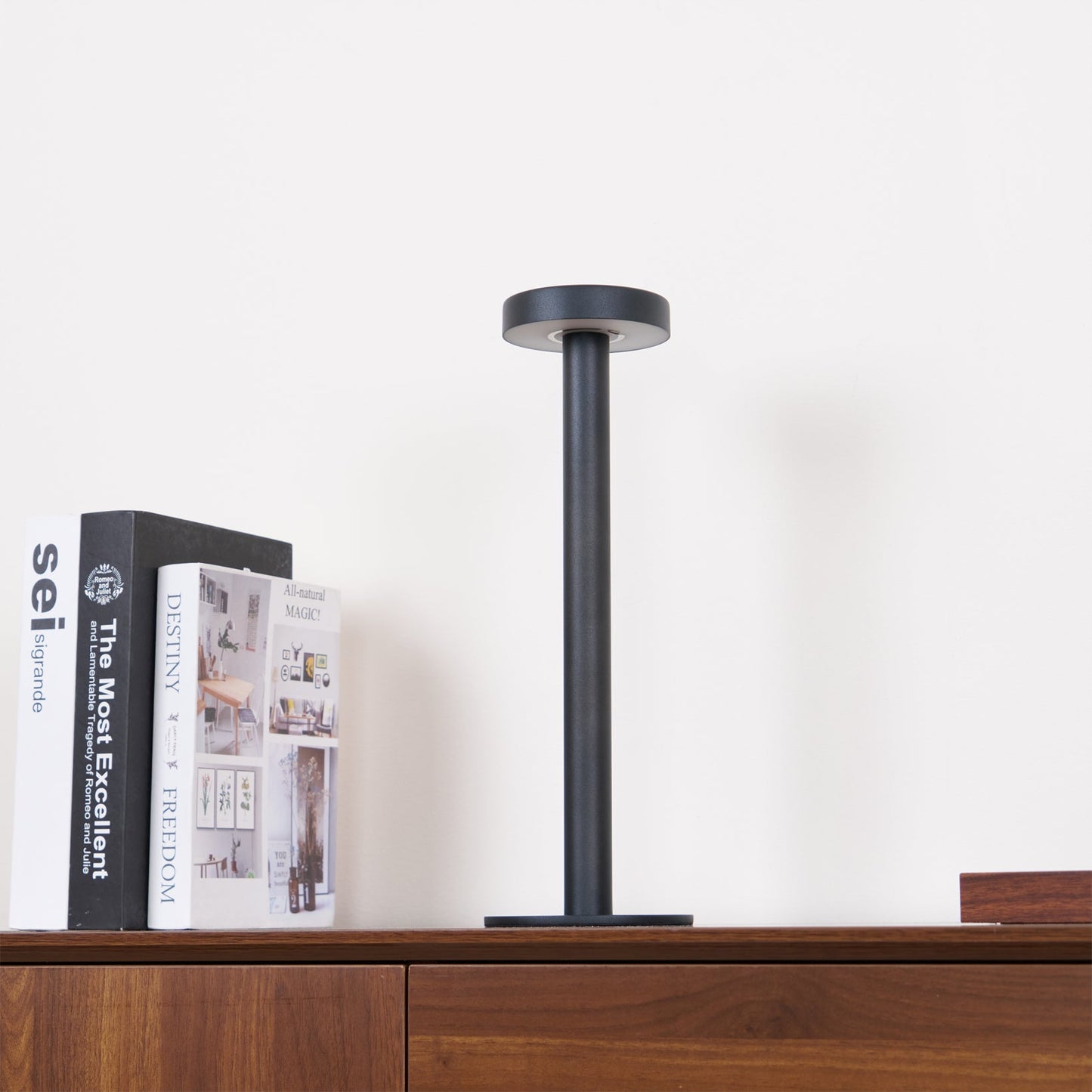 Tetatet Built-in Battery Table Lamp