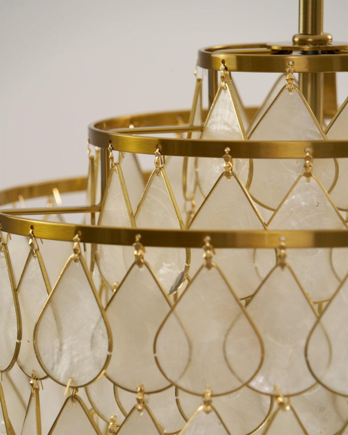 Vivant Shell Pendant Lamp