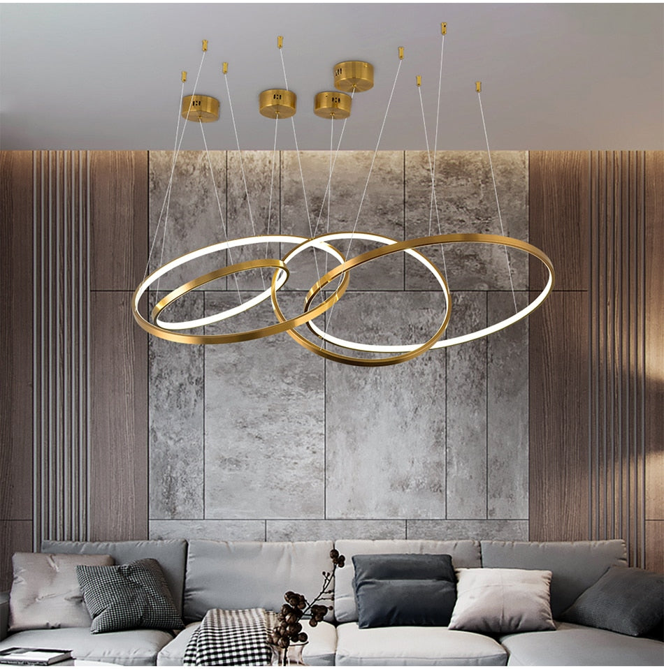 Large ring stainless steel light fixture for living room, hall, staircase, foyer , stairwell