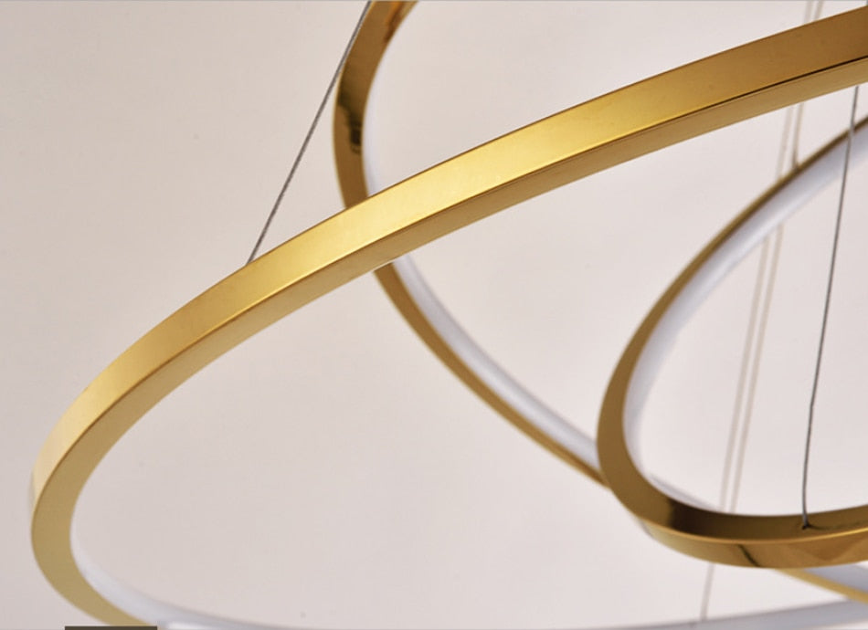 Large ring stainless steel light fixture for living room, hall, staircase, foyer , stairwell