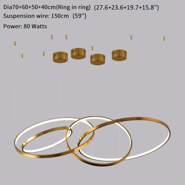Large ring stainless steel light fixture for living room, hall, staircase, foyer , stairwell