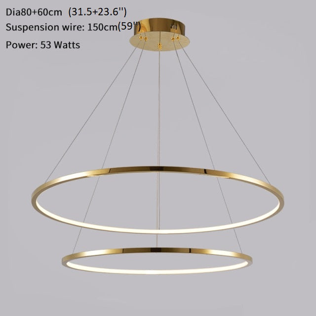 Large ring stainless steel light fixture for living room, hall, staircase, foyer , stairwell