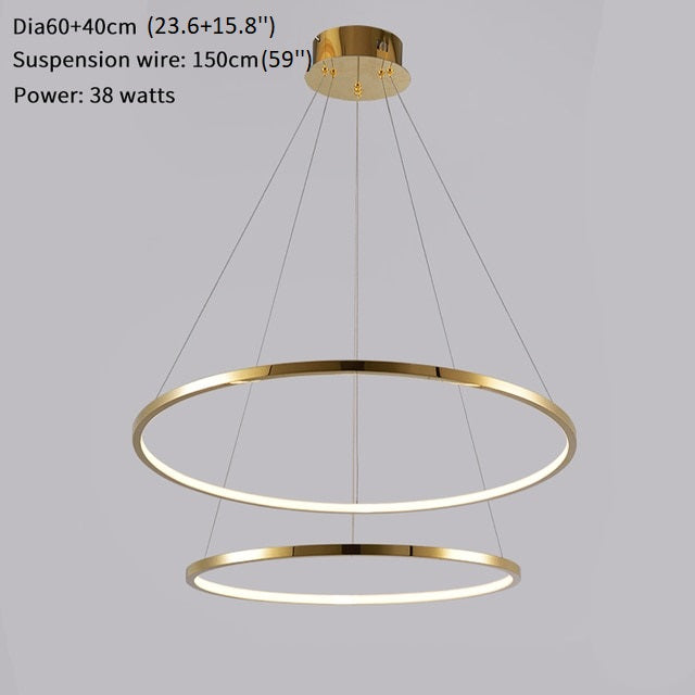 Large ring stainless steel light fixture for living room, hall, staircase, foyer , stairwell