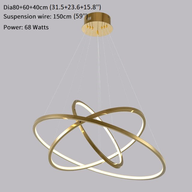Large ring stainless steel light fixture for living room, hall, staircase, foyer , stairwell