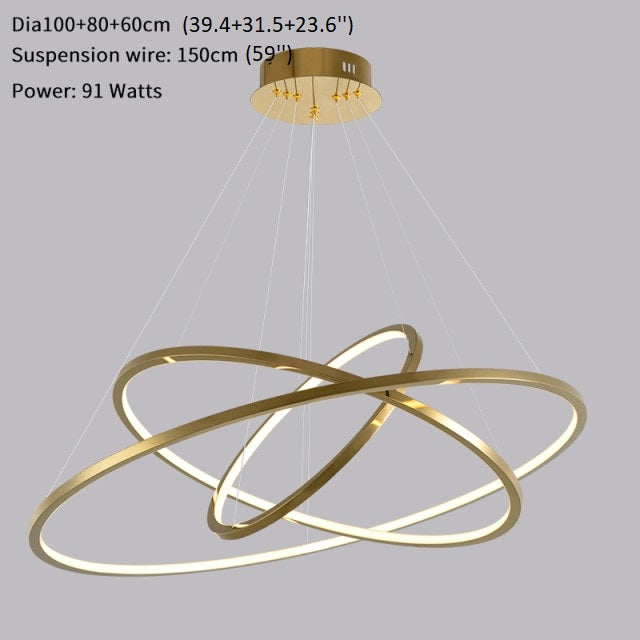 Large ring stainless steel light fixture for living room, hall, staircase, foyer , stairwell